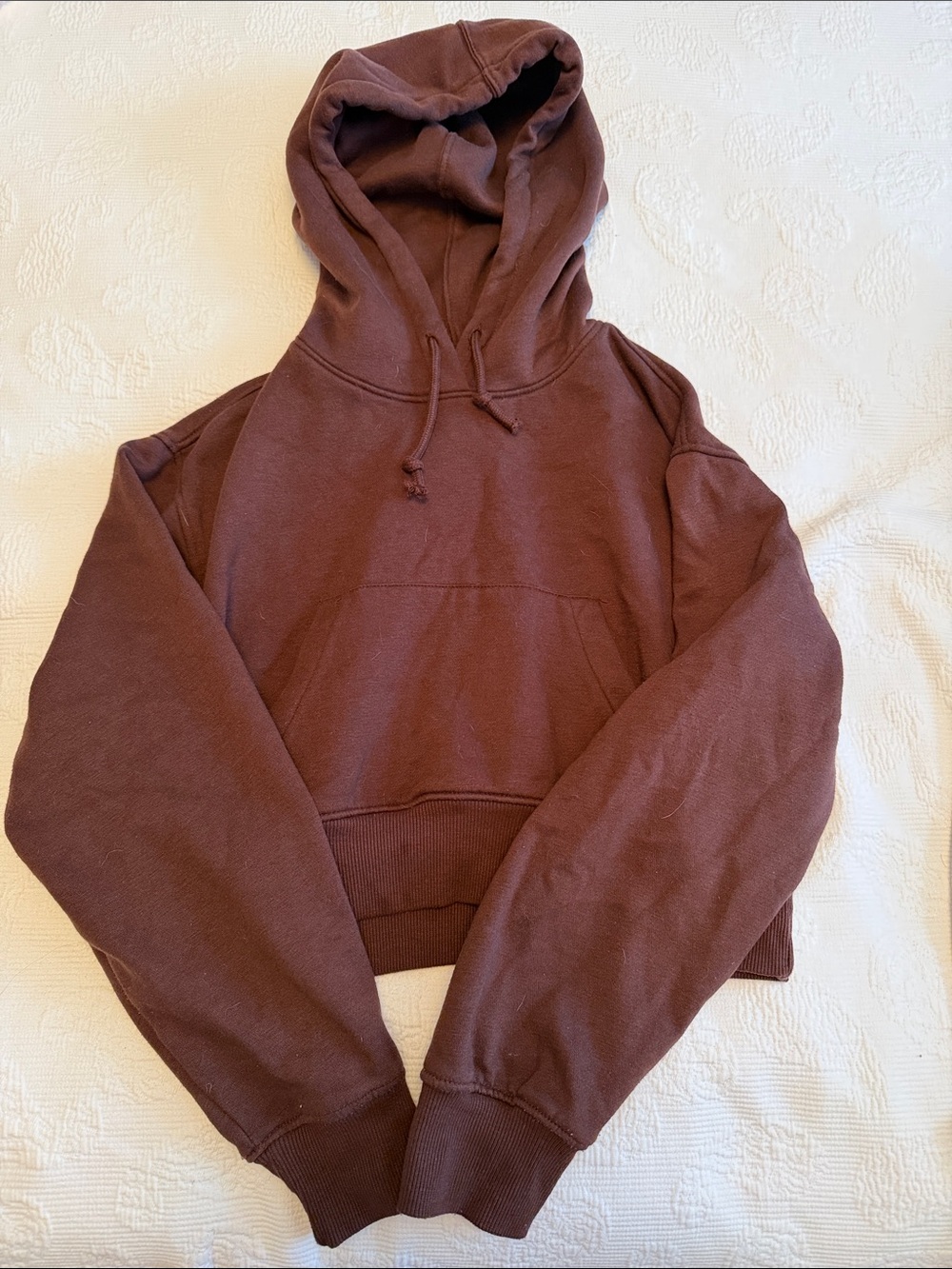 Zara Cropped Hoodie in Deep Brown